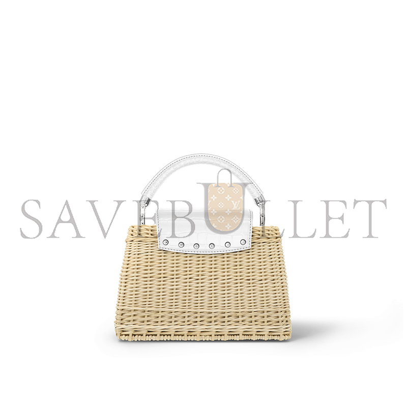 LOUIS VUITTON CAPUCINES BB N85520 (27*17*14cm)
